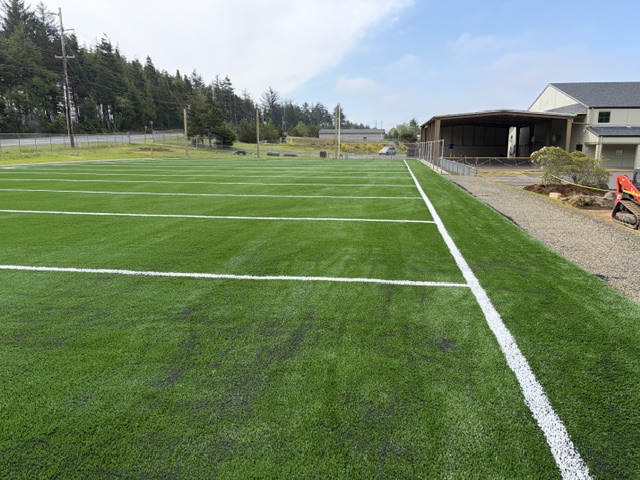 Turf playfield with blue sky and pine tress on one side