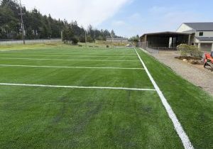 Turf playfield with blue sky and pine tress on one side